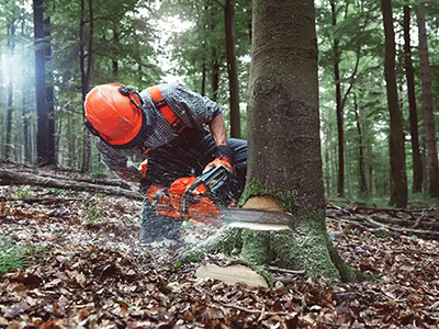 1760178307176474.png 圖片35.png